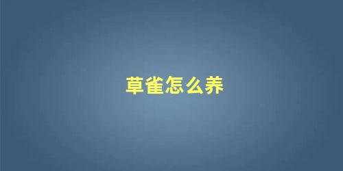 草雀怎么养