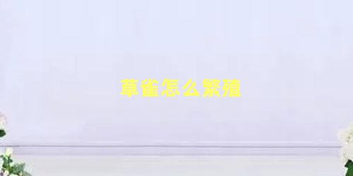 草雀怎么繁殖