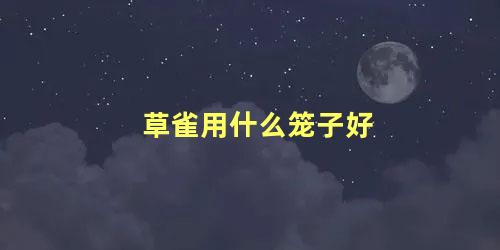 草雀用什么笼子好