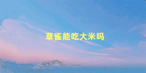 草雀能吃大米吗