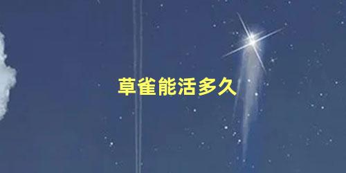 草雀能活多久