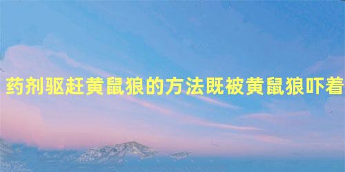 药剂驱赶黄鼠狼的方法既被黄鼠狼吓着有什么办法治