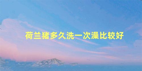 荷兰猪多久洗一次澡比较好