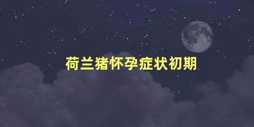 荷兰猪怀孕症状初期