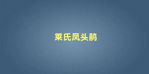 莱氏凤头鹃