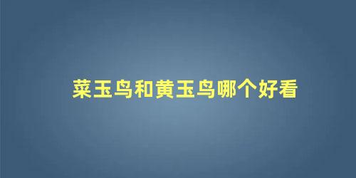 菜玉鸟和黄玉鸟哪个好看
