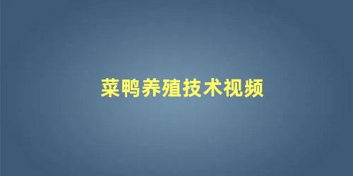 菜鸭养殖技术视频