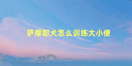 萨摩耶犬怎么训练大小便