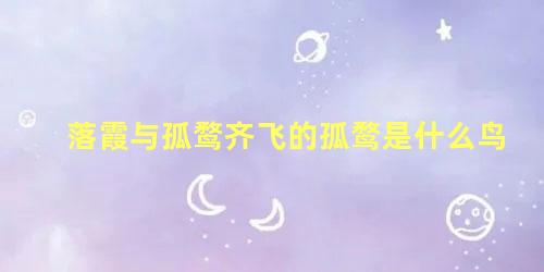 落霞与孤鹜齐飞的孤鹜是什么鸟