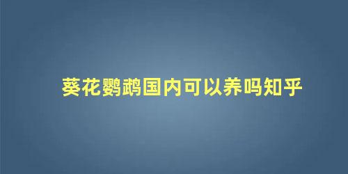 葵花鹦鹉国内可以养吗知乎