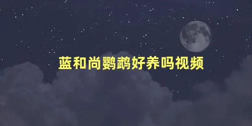 蓝和尚鹦鹉好养吗视频