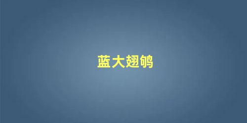 蓝大翅鸲