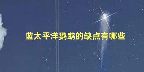 蓝太平洋鹦鹉的缺点有哪些