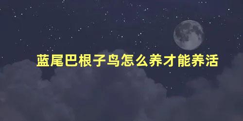 蓝尾巴根子鸟怎么养才能养活