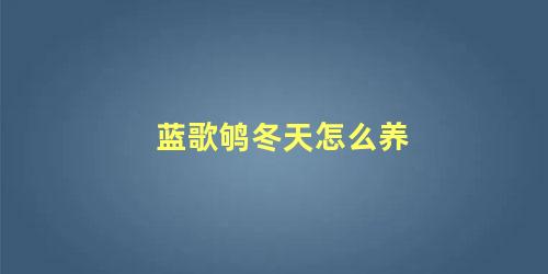 蓝歌鸲冬天怎么养