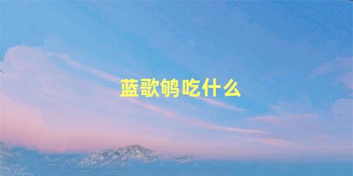 蓝歌鸲吃什么