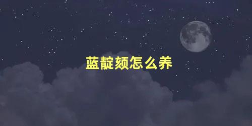 蓝靛颏怎么养