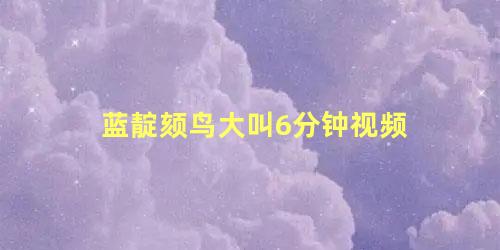 蓝靛颏鸟大叫6分钟视频