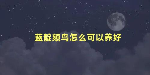蓝靛颏鸟怎么可以养好