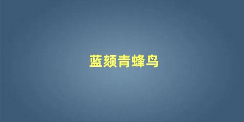 蓝颏青蜂鸟