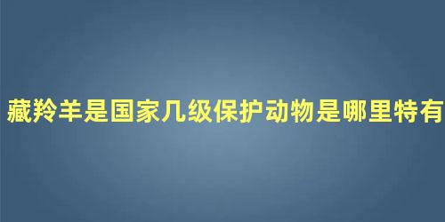藏羚羊是国家几级保护动物是哪里特有的动物