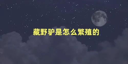 藏野驴是怎么繁殖的