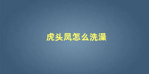 虎头凤怎么洗澡