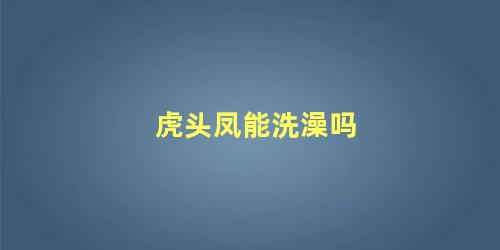 虎头凤能洗澡吗