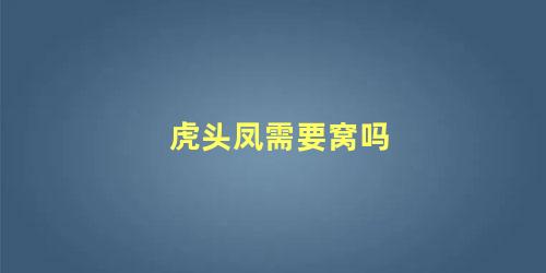 虎头凤需要窝吗