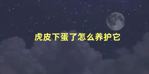 虎皮下蛋了怎么养护它