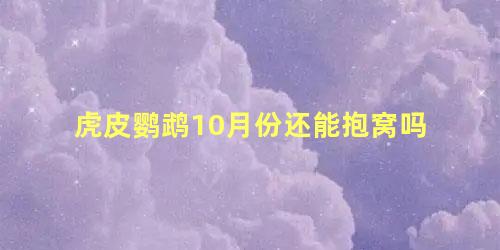 虎皮鹦鹉10月份还能抱窝吗