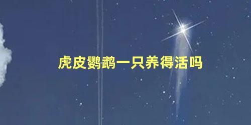虎皮鹦鹉一只养得活吗