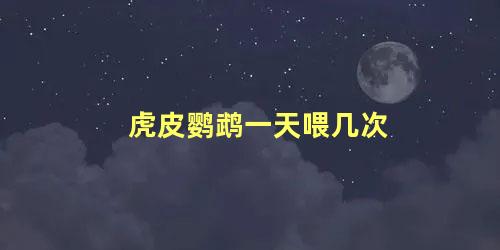 虎皮鹦鹉一天喂几次
