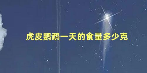 虎皮鹦鹉一天的食量多少克