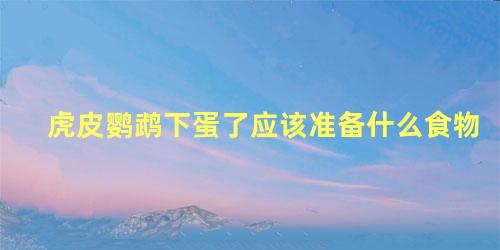 虎皮鹦鹉下蛋了应该准备什么食物