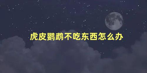 虎皮鹦鹉不吃东西怎么办