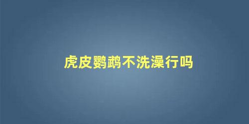 虎皮鹦鹉不洗澡行吗