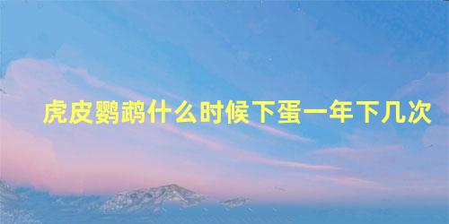 虎皮鹦鹉什么时候下蛋一年下几次