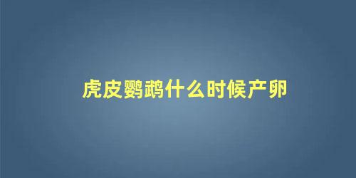 虎皮鹦鹉什么时候产卵