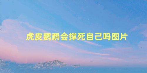 虎皮鹦鹉会撑死自己吗图片