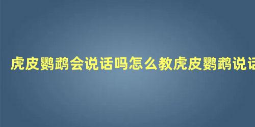 虎皮鹦鹉会说话吗怎么教虎皮鹦鹉说话