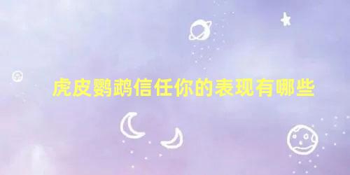 虎皮鹦鹉信任你的表现有哪些