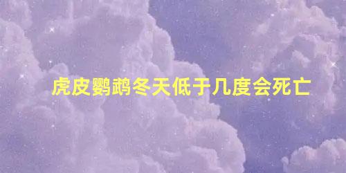 虎皮鹦鹉冬天低于几度会死亡