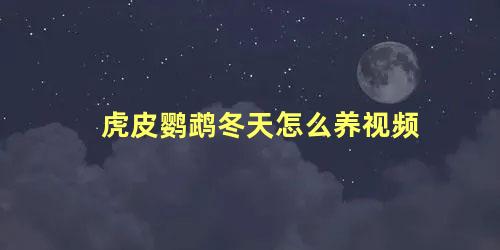 虎皮鹦鹉冬天怎么养视频