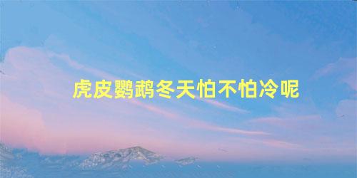 虎皮鹦鹉冬天怕不怕冷呢