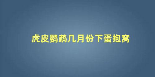 虎皮鹦鹉几月份下蛋抱窝