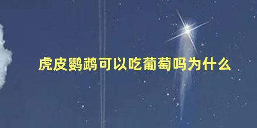 虎皮鹦鹉可以吃葡萄吗为什么