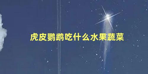 虎皮鹦鹉吃什么水果蔬菜