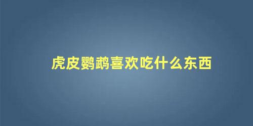 虎皮鹦鹉喜欢吃什么东西