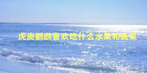 虎皮鹦鹉喜欢吃什么水果和蔬菜